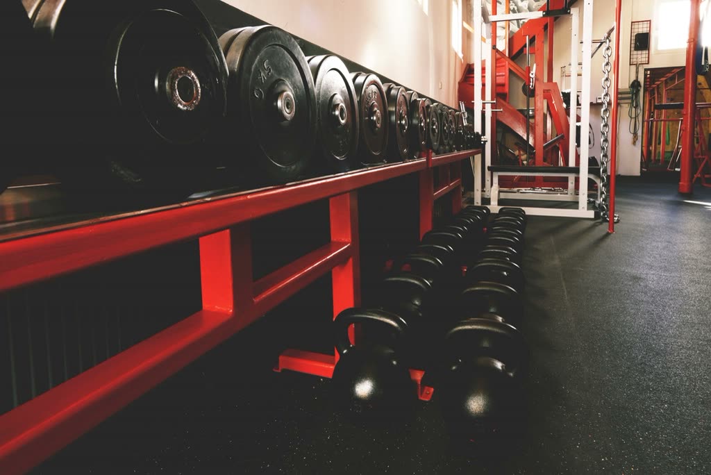 Rack of dumbbells and plates behind a red steel bench in the weight room